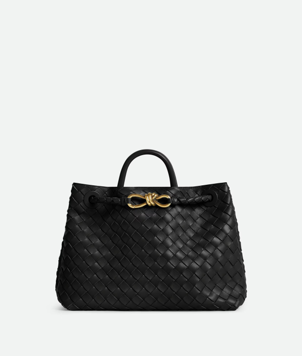 BOTTEGA VENETA Medium Andiamo 5