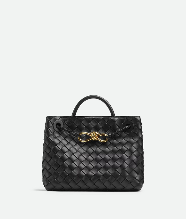 BOTTEGA VENETA Small Andiamo 3