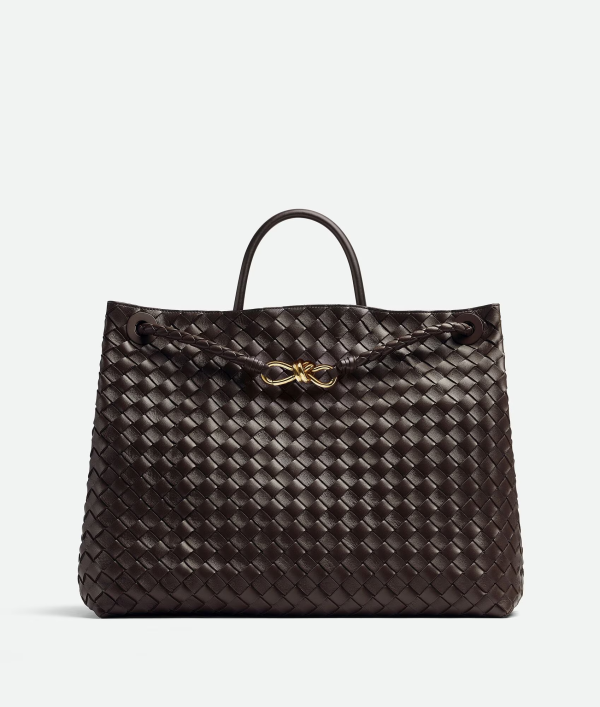 BOTTEGA VENETA Large Andiamo 2