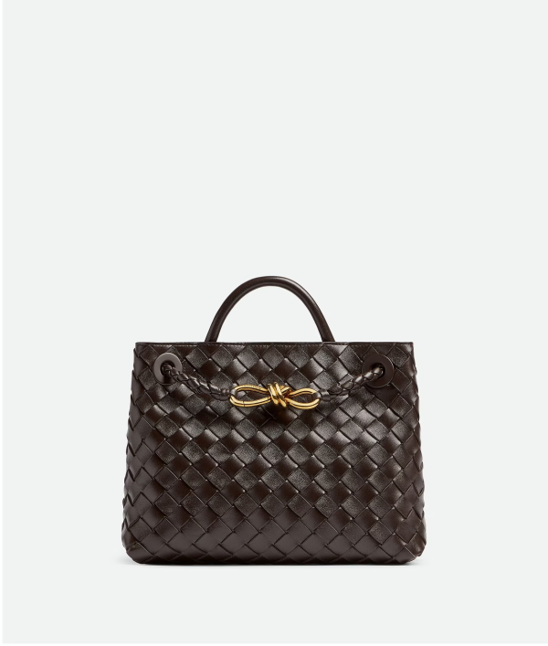 BOTTEGA VENETA Small Andiamo 10