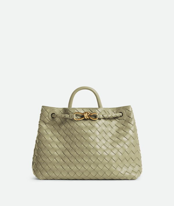 BOTTEGA VENETA Medium Andiamo 4