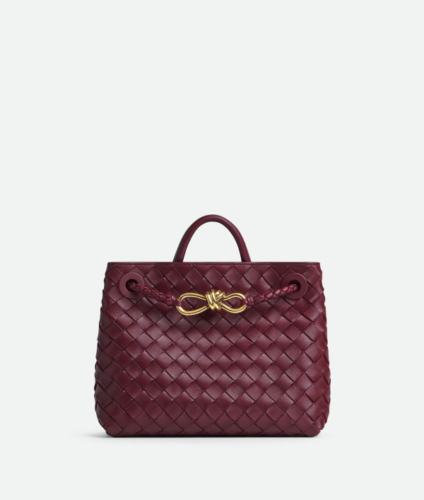 BOTTEGA VENETA Small Andiamo 1