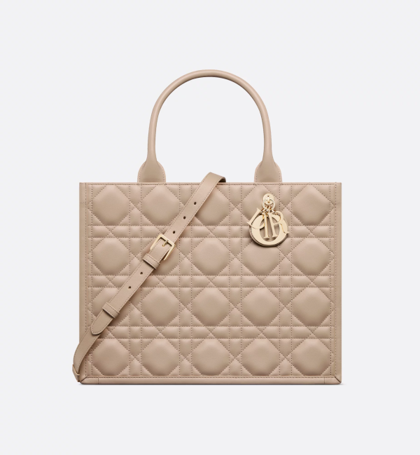 CHRISTIAN DIOR Medium Dior Book Tote 10